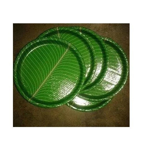 Green Paper Plates